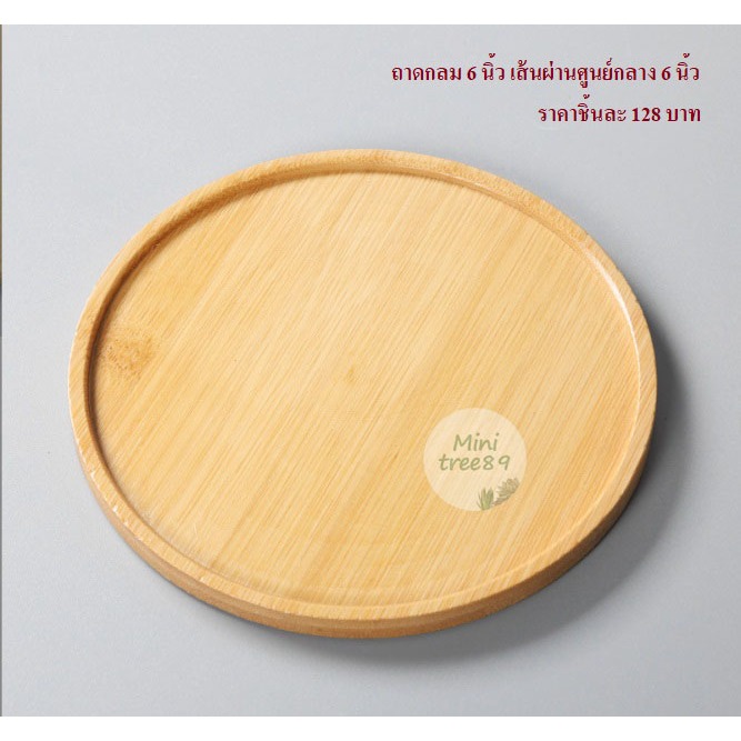 ถาดรองไม้ สีครีม ถาดเปล่า (ขนาด 3นิ้ว หรือ 8 เซนติเมตร) จ.น 3 ชิ้น เเละ 9เซ็น มีหลายขนาดหลายตัวเลือกด้านใน minitree89🌵🪴 - รูปที่ 4