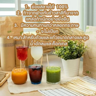 ( 100 ชิ้น ) หลอดฟางข้าวทนกว่าจะดาษไม่เปียก 19.5cm เป็นมิตรต่อสิ่งเเวดล้อม หลอดธรรมชาติ หลอดรักษ์โลก ไม่ทำลายสิ่งแวดล้อม