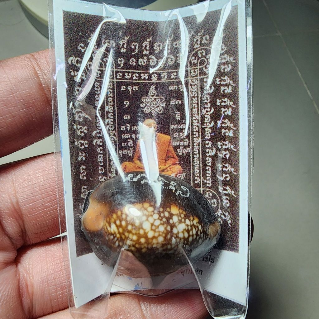 พระสวย ตรงรูป เบี้ยแก้ หลวงปู่ทิม มีซองเดิม สภาพสวย ไม่ทราบรุ่น