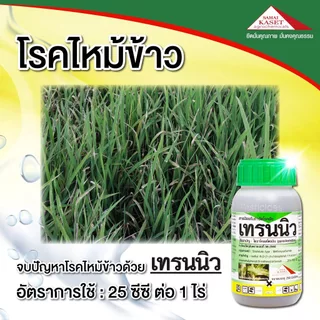 เทรนนิว + แบคทรอล (ของแท้) กำจัด เชื้อรา โรคไหม้ ใบขีด ใบจุด ขอบใบแห้ง ใบขีดโปร่งแสง เมล็ดด่าง