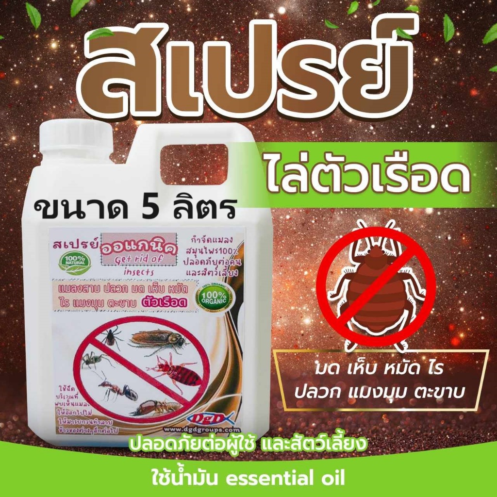 สเปรย์ไล่ ตัวเรือด สมุนไพรป้องกันตัวเรือด(5ลิตร) (RR-5) ตัวริ้น ตัวไร ไรฝุ่น ตัวเหา เห็บหมัดบนที่นอน โซฟา ออแกนิค