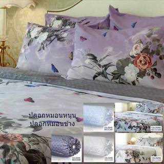 EXOTICA รุ่น Cologne ปลอกหมอน / ปลอกหมอนข้าง