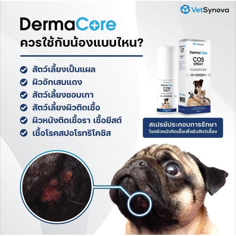 Dermacore COS Spray (20ml/100ml) ช่วยดูแลผิวสัตว์เลี้ยง ใช้ล้าง ทำความสะอาด และเพิ่มความชุ่มขึ้นให้กับผิวหนัง