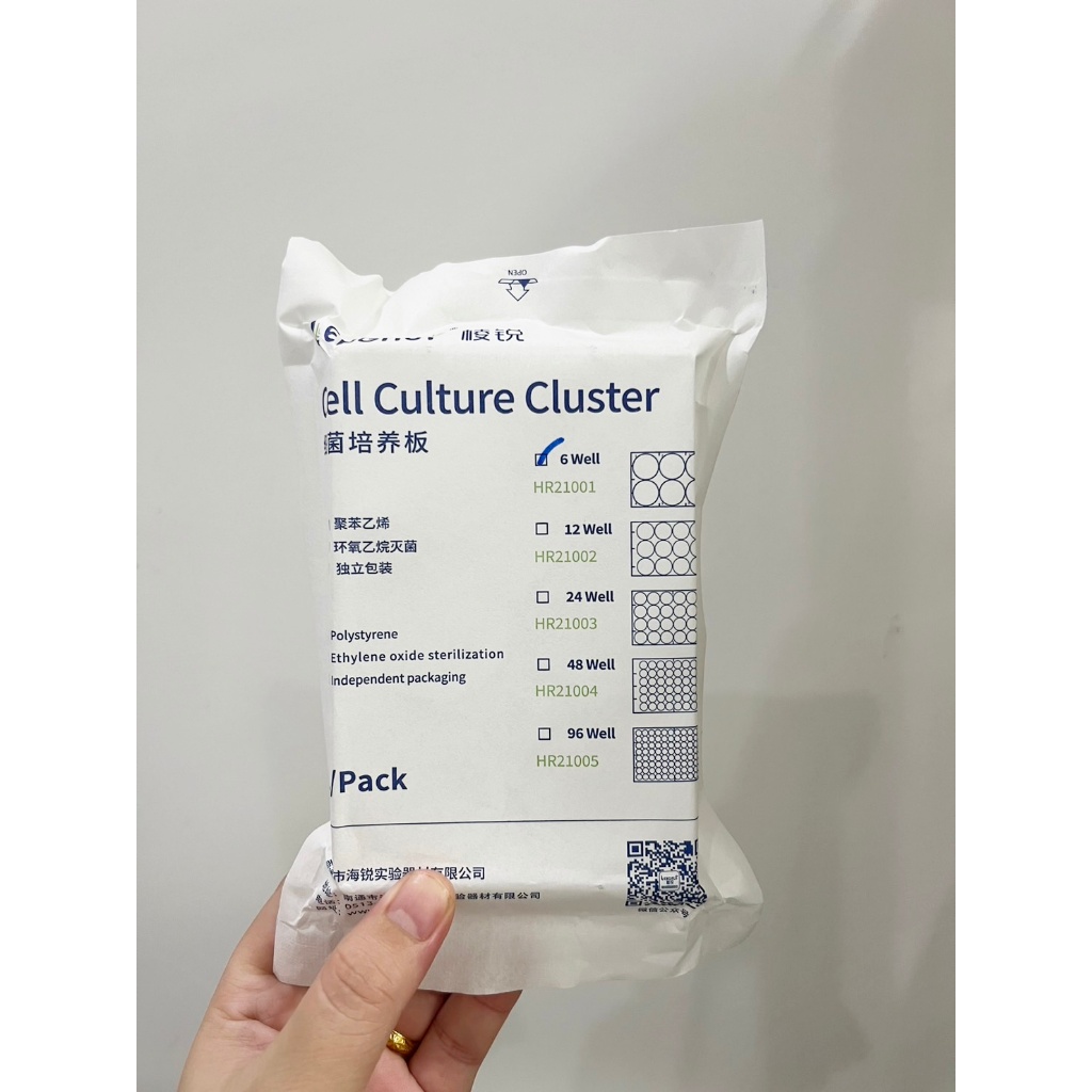 6 well plate (Cell Culture Plate) 6 หลุม