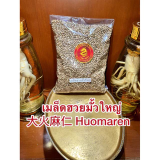 เมล็ดฮวยมั้วใหญ่ ฮวยมั้วยิ้งใหญ่ 大火麻仁 Huomaren เม็ดฮวยมั้ว ฮวยมั้วยิ้งใหญ่ Huomaren 火麻仁เมล็ดฮวยมั้วมี2ไซส์ใหญ่กับเล็ก