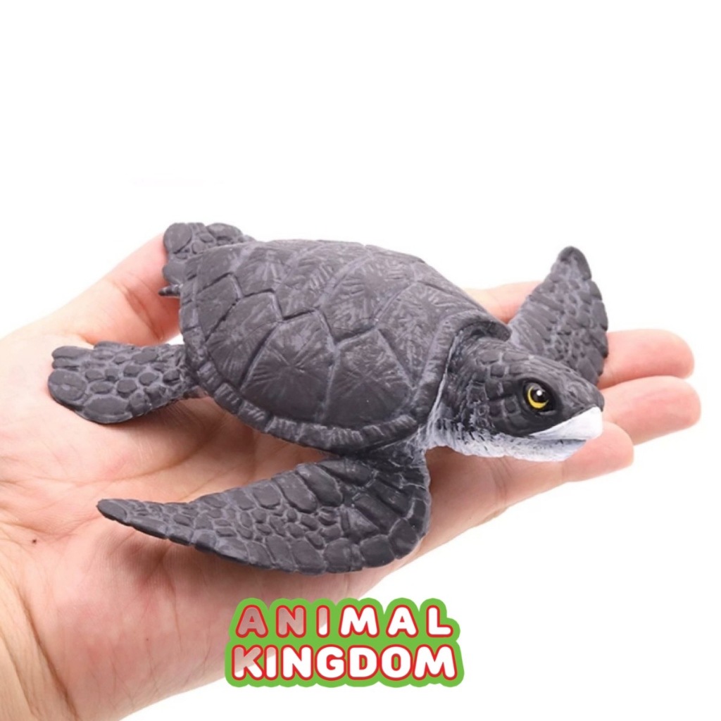 Animal Kingdom - โมเดลสัตว์ เต่า ทะเล ดำ ขนาด 12.00 CM (จากสงขลา)
