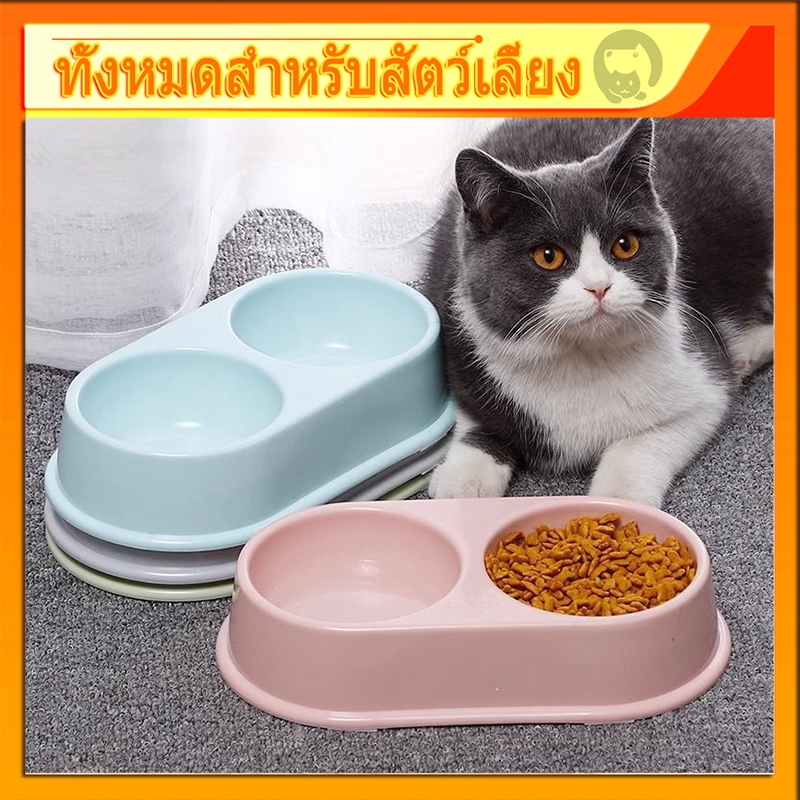 🐶 ที่ใส่อาหารแมว ชามกันมด ถ้วยอาหารแมว รหมา 2 หลุม ให้อาหารสุนัข สัตว์เลี้ยง ชามอาหารหมา ชามอาหารแมว