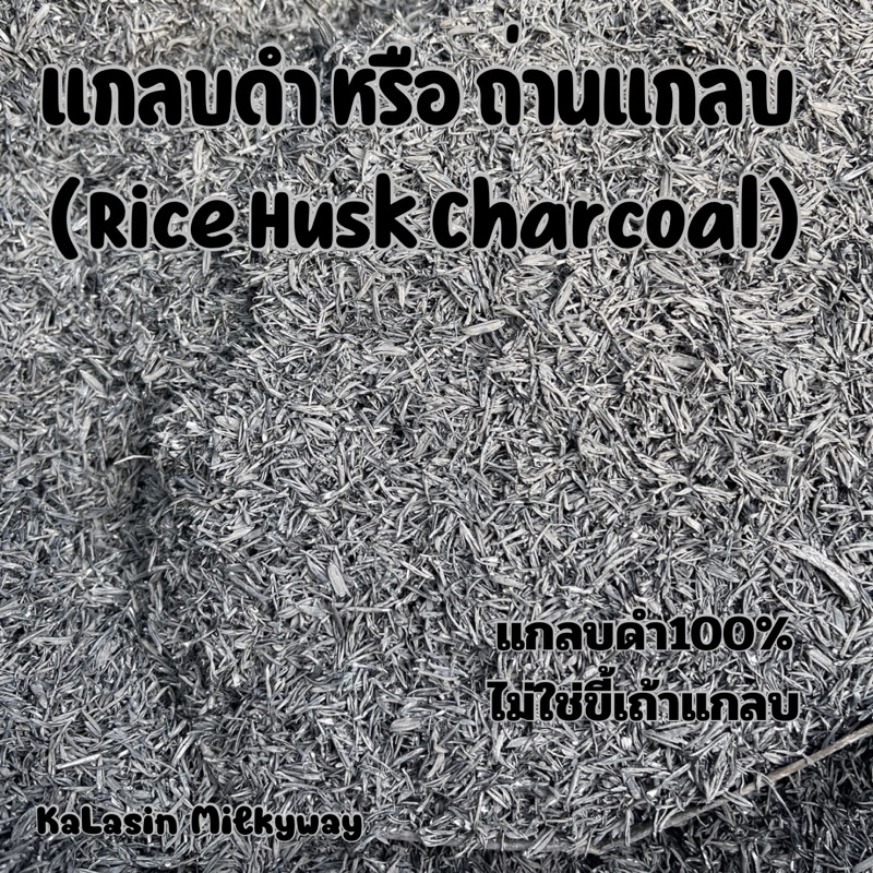 แกลบดำ หรือ ถ่านแกลบ ( Rice Husk Charcoal ) ช่วยเพิ่มความร่วนซุย เพิ่มแร่ธาตุ ดินอุ้มน้ำได้ดี ผสมกับดินสำหรับการปลูกพืช