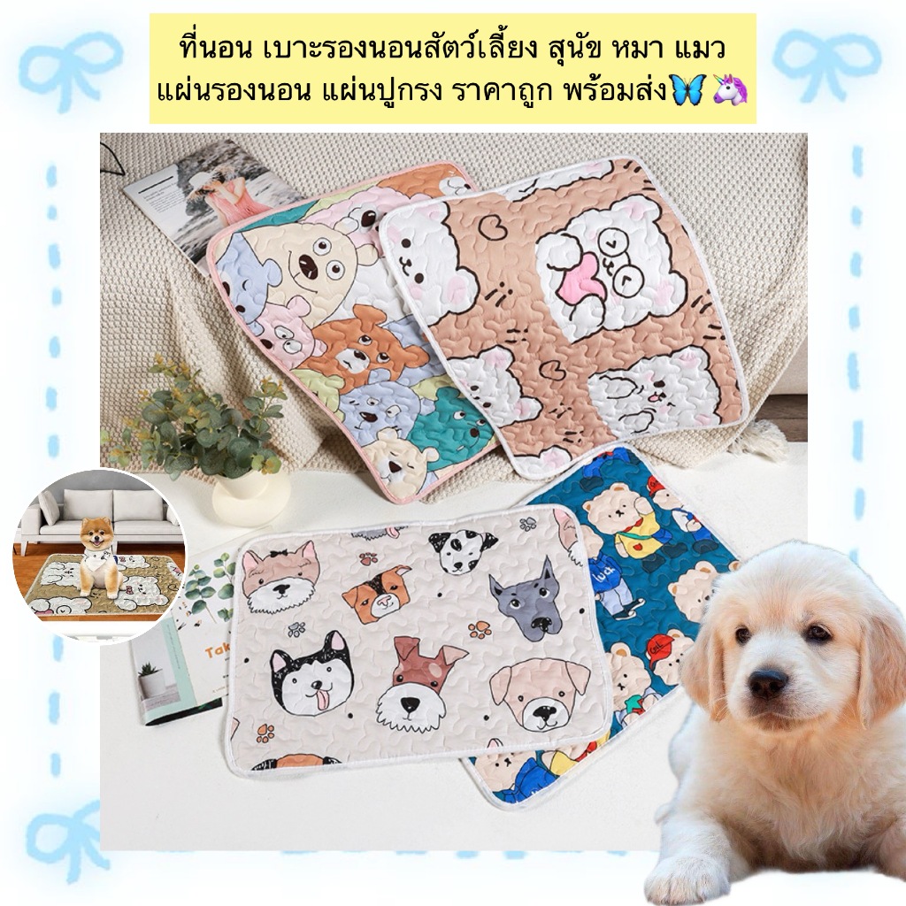 PP-804 ที่นอนสัตว์เลี้ยง 🐶🐱 เบาะรองนอนสุดนุ่ม สำหรับหมา-แมว ใช้ปูกรง ปูพื้น หรือพกติดรถก็ได้ ราคาน่ารัก พร้อมส่งเลย! 🦋🦄