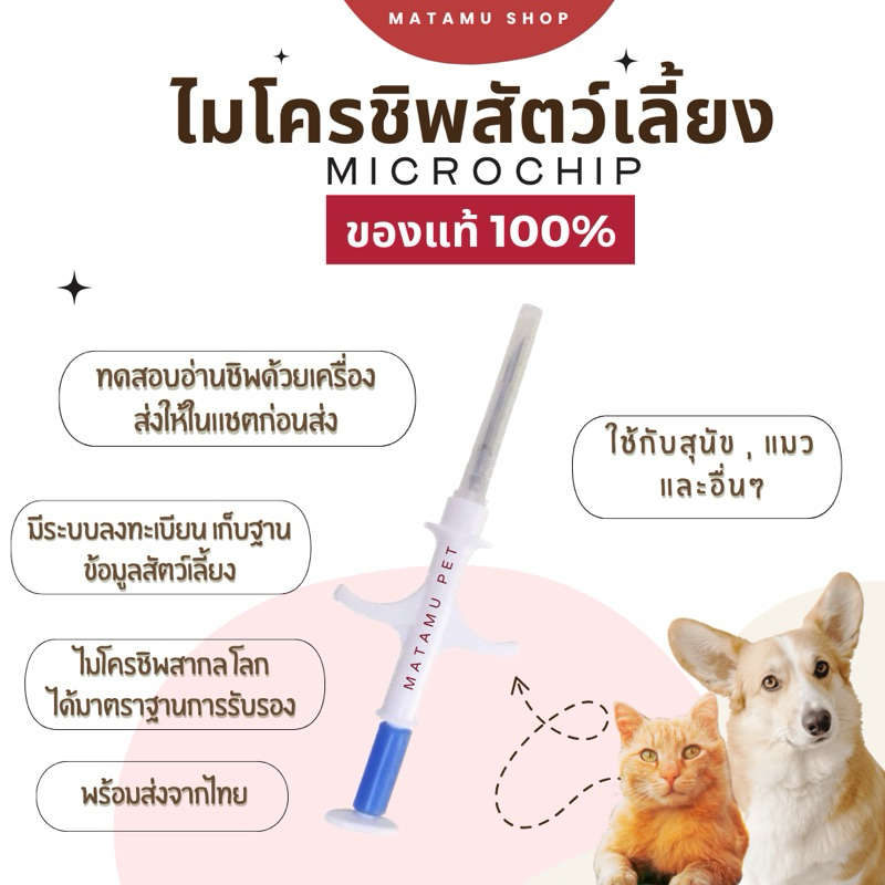 ไมโครชิพสำหรับแมว สุนัข และสัตว์อื่นๆ (พร้อมส่ง มีแบบฟอร์มลงทะเบียน) Microchip