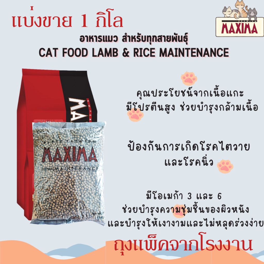 {ส่งฟรี} MAXIMA CAT MAINTENANCE 1 KG อาหารสำหรับแมว 1 กก.
