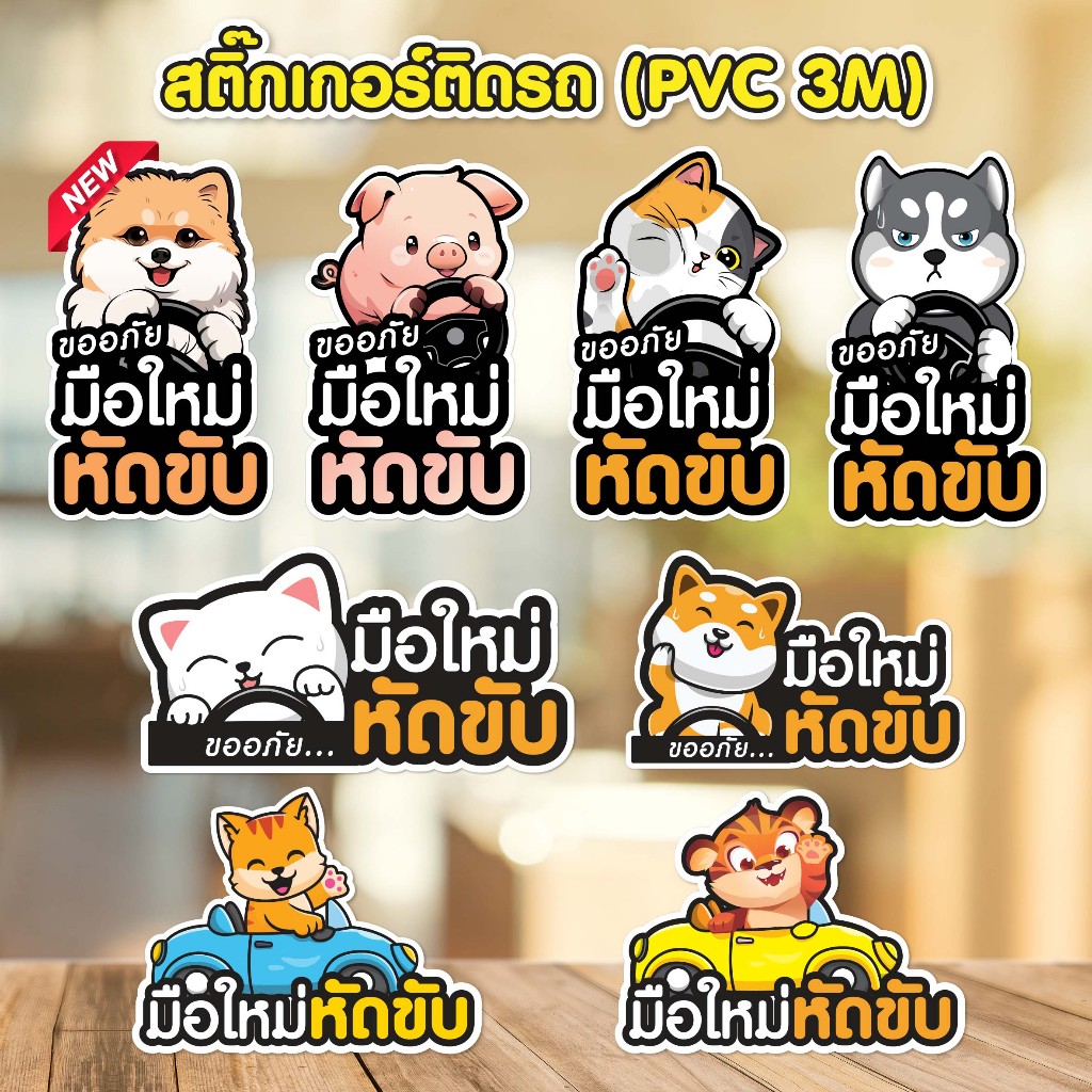 สติ๊กเกอร์ติดรถ มือใหม่หัดขับ PVC 3M