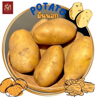 มันฝรั่งสด (มันนอก) น้ำหนัก 1Kg