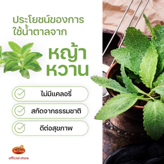 Arcady Zero Syrup อาเคดี้ ไซรัปคีโต น้ำเชื่อมหญ้าหวาน ไม่มีน้ำตาล 0 แคล 350 มล.