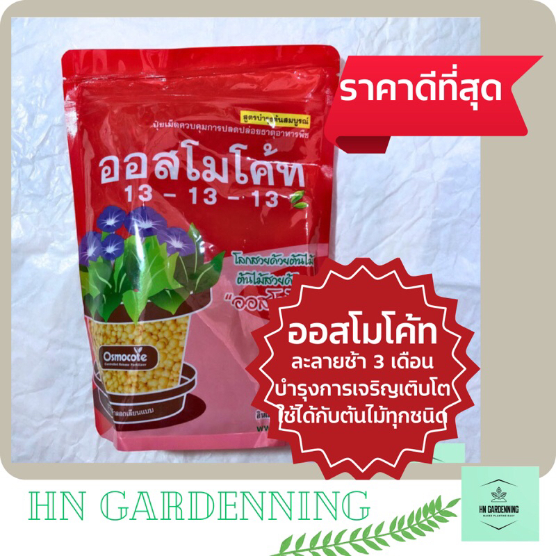 ออสโมโค้ท (Osmocote) 1Kg บำรุงต้นสมบูรณ์ ละลายช้า 3 เดือน กระบองเพชร ว่าน ไม้มงคล กล้วยไม้ ไม้มงคล อโกนีมา หน้าวัว บอนสี