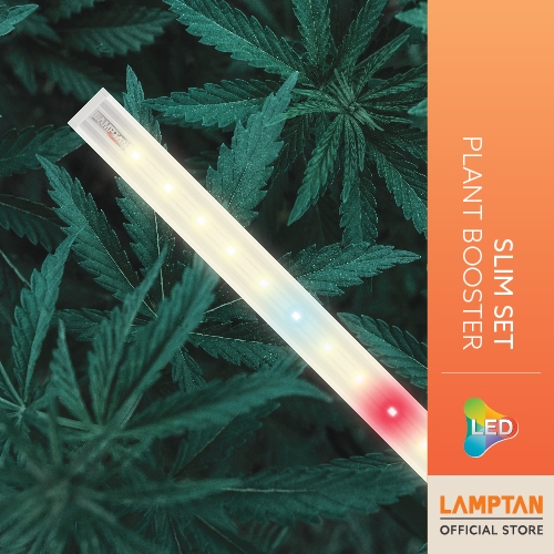 LAMPTAN LED SLIM SET PLANT BOOSTER 18W หลอดไฟยาวปลูกต้นไม้แบบFull Spectrum ต่อพ่วงได้ อุปกรณ์ครบชุด