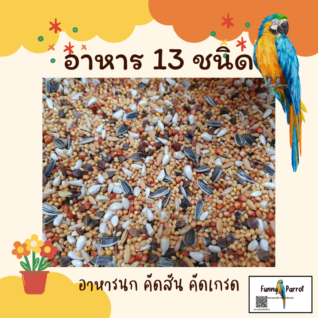 อาหารนกแก้ว ธัญพืช 13 อย่างสำหรับนกทุกสายพันธุ์ ทานได้ตั้งแต่อายุ2เดือน ทำให้นกอยากทาน