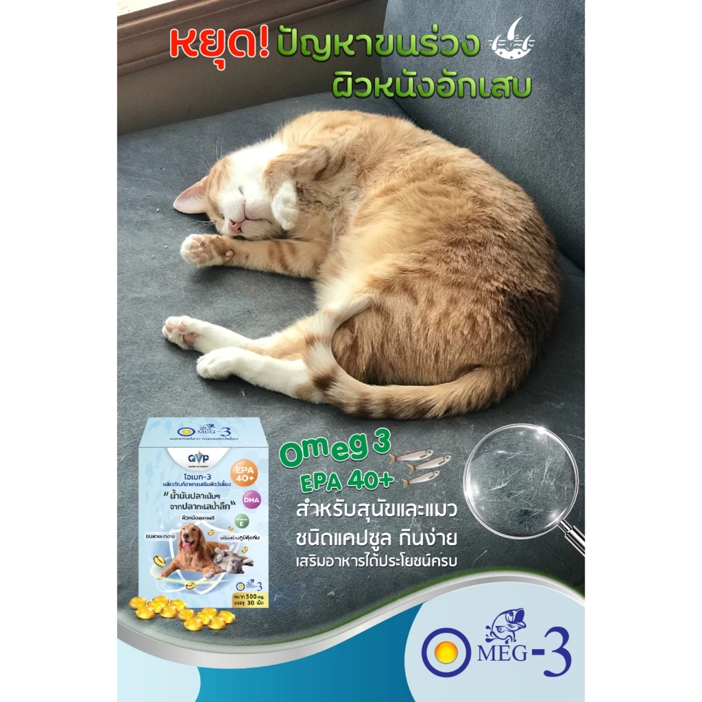 Omeg3 EPA40+ น้ำมันปลา โอเมก้า สุนัขและแมว บำรุงขนสวย ลดการอักเสบของผิวหนัง บำรุงข้อต่อกระดูก ขนาด 500 mg. thumbnail 3