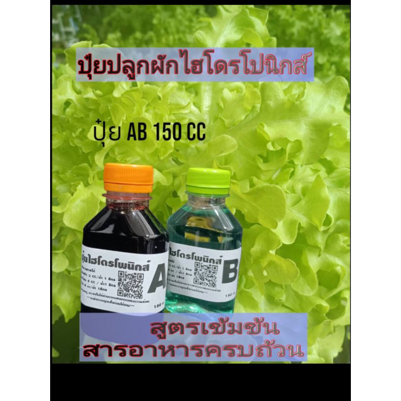 ปุ๋ยAB 150 cc ปลูกผักไฮโดรโปนิกส์ ปลูกผักไร้ดิน