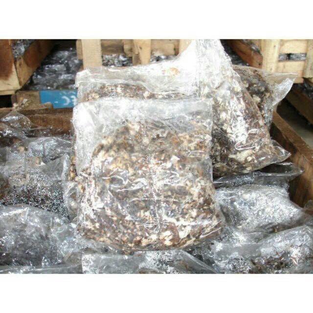 เชื้อเห็ดฟาง (พร้อมเพาะ)เดินดี เห็ดฟางดอกใหญ่ เพาะในฟางข้าวที่แช่น้ำแล้ว ในตระกร้า