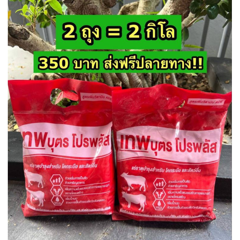 เทพบุตรโปรพลัสADEแร่ธาตุบำรุงสัตว์