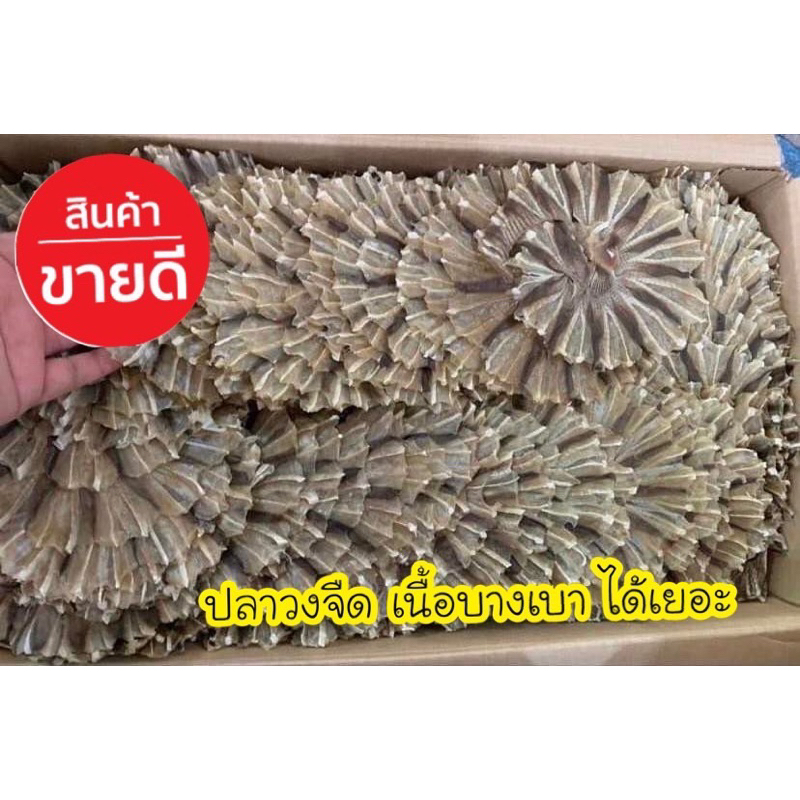 ปลาวงจืด เค็มน้อย แห้งเบาได้เยอะ 1กิโลกรัม