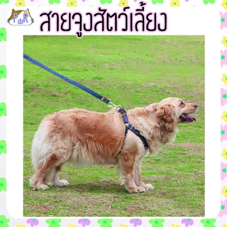 สายจูง ที่รัดอก สำหรับสัตว์เลี้ยง dog leashes [สายยีน]