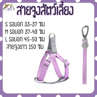 สายจูง ที่รัดอก สำหรับสัตว์เลี้ยง dog leashes [สายเทา]