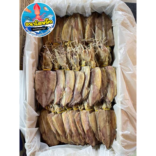 หมึกหนัง ไซต์4 🦑 หมึกแห้งผ่า เนื้อหวาน สด สะอาด ใหม่ นำไปทำอาหารอร่อย ไม่เค็ม