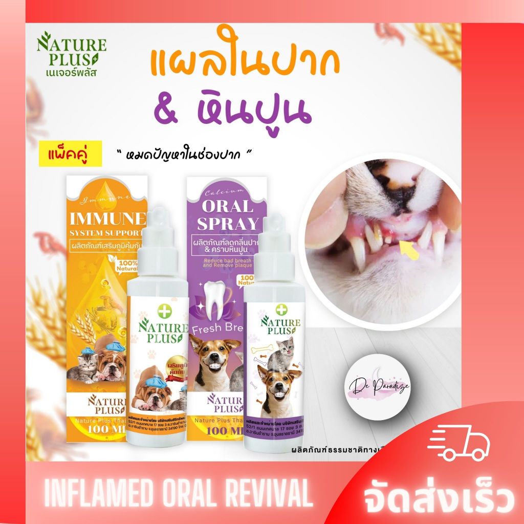 แพคคู่ สำหรับปัญหาในช่องปาก สุนัข แมว ลดกลิ่นปาก และแผลในปาก – Nature Plus