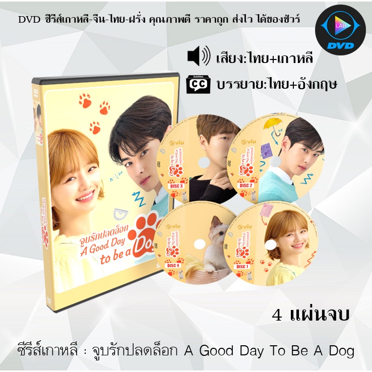 DVD ซีรีส์เกาหลี จูบรักปลดล็อก A Good Day To Be A Dog จำนวน 4 แผ่นจบ (พากย์ไทย+ซับไทย)