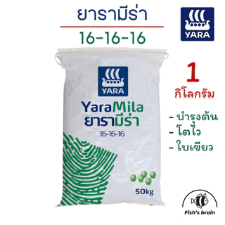🌱ปุ๋ยยารามีร่า 16-16-16 ปุ๋ย เร่งใบ เร่งดอก เร่งแตกยอด ปุ๋ยสูตรเสมอ
