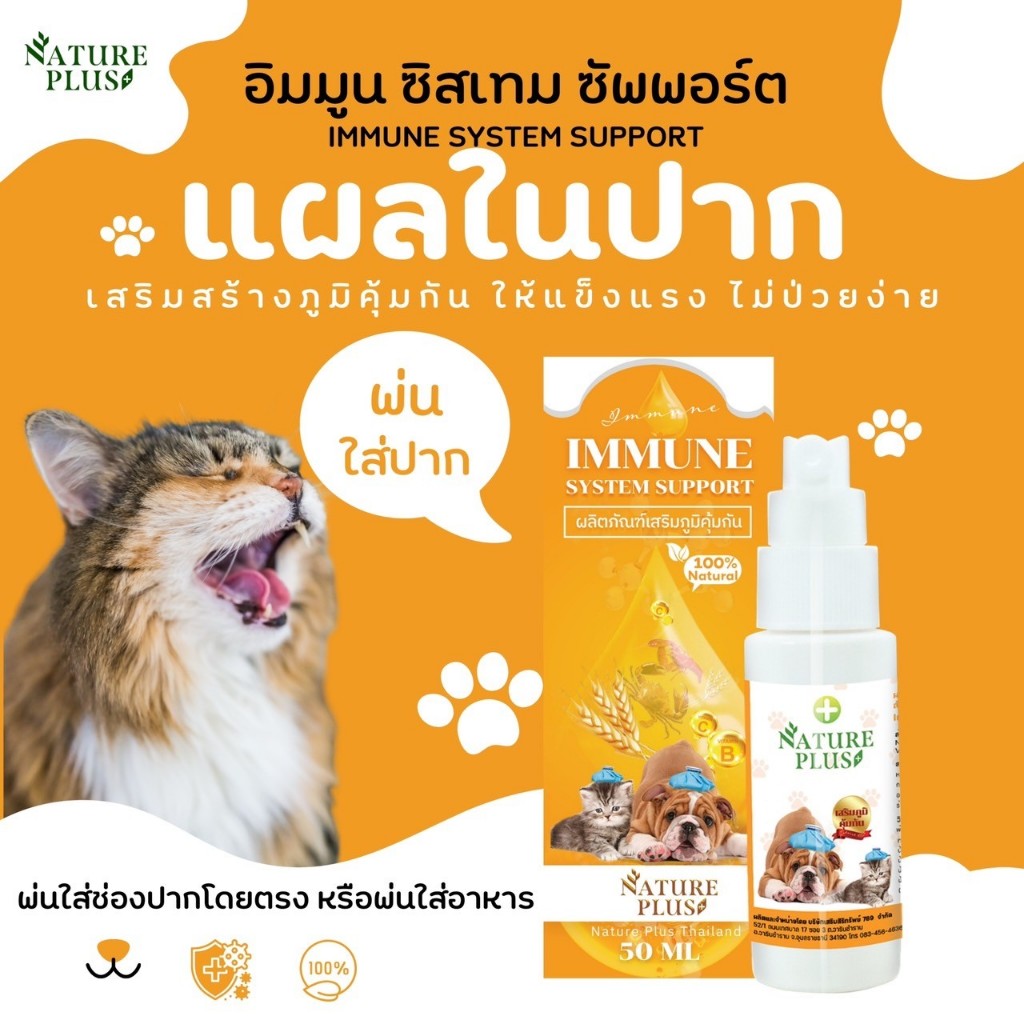 ผลิตภัณฑ์เสริมสร้างภูมิคุ้มกัน สำหรับ หมา แมว ที่ป่วยบ่อย มีแผลในช่องปาก ป่วยผิวหนังเรื้อรัง ต้องเนเ