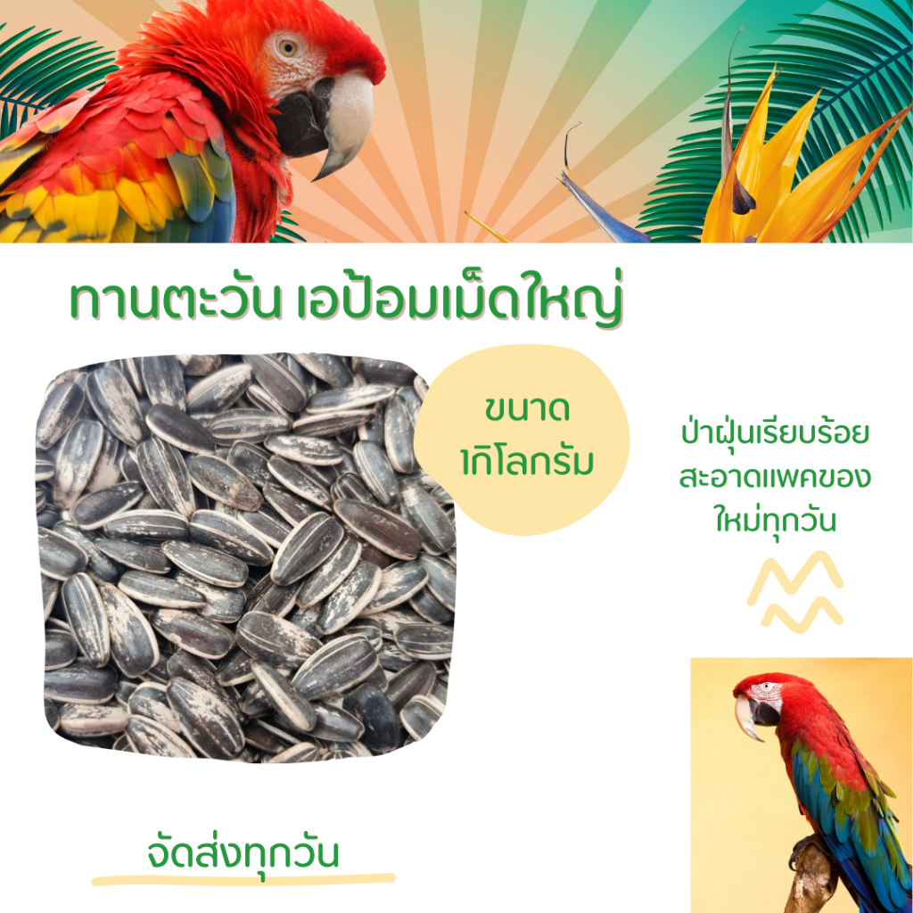ทานตะวันAป้อม แพค500กรัม อาหารนกแก้วและสัตว์ฟันแทะ