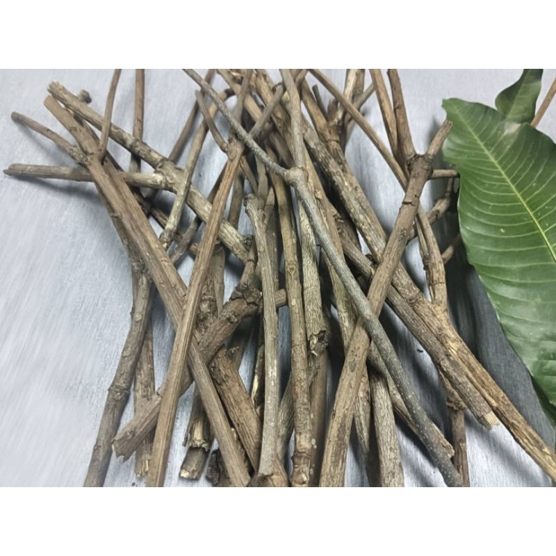 JK CURTAIN TM กิ่งไม้แห้ง กิ่งไม้ธรรมชาติ #สำหรับด้วงและIsopod #งานประดิษฐ์  (1ชุด=20กิ่งคละไซส์)
