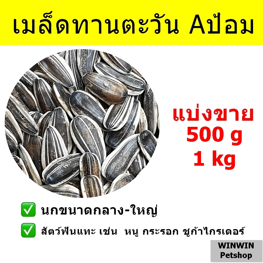 เมล็ดทานตะวันใหญ่ Aป้อม // สำหรับนก และ สัตว์ฟันแทะ (แบ่งขาย)