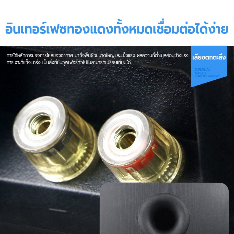 SAST ลําโพงแบบพาสซีฟ ขนาด 10 นิ้ว ลําโพงอัตราส่วนสัญญาณต่อสัญญาณรบกวนสูงพิเศษกําลังสูง ซับวูฟเฟอร์ กําลังไฟสูงสุด 200W