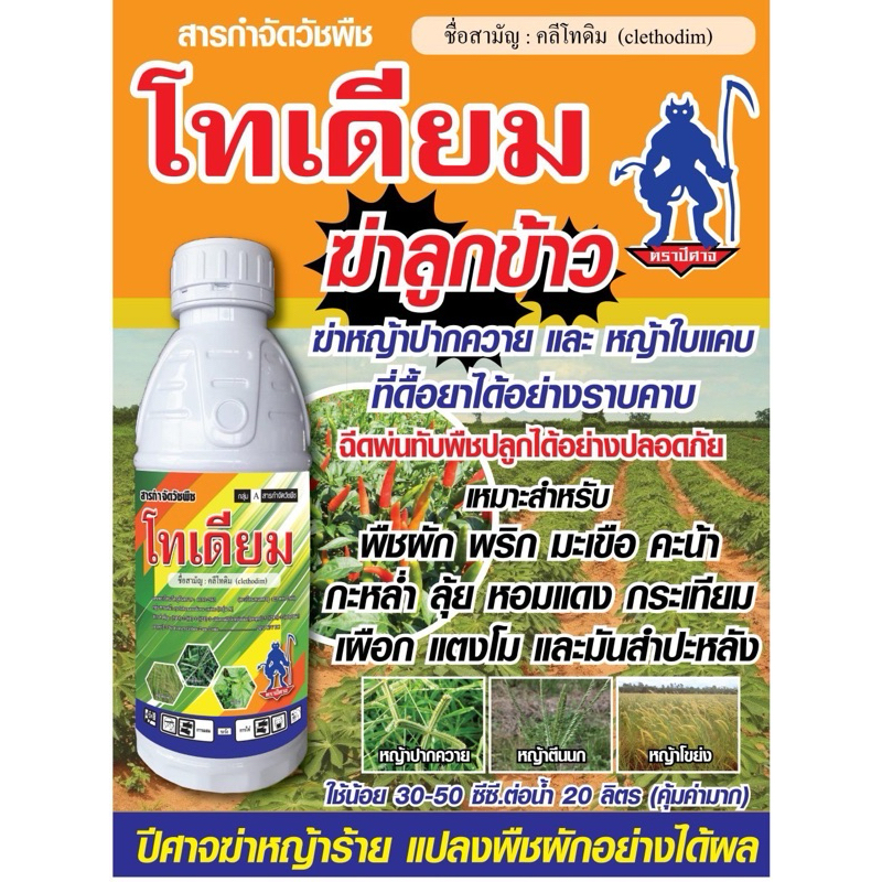 โทเดียม (คลีโทดิม)1ลิตร