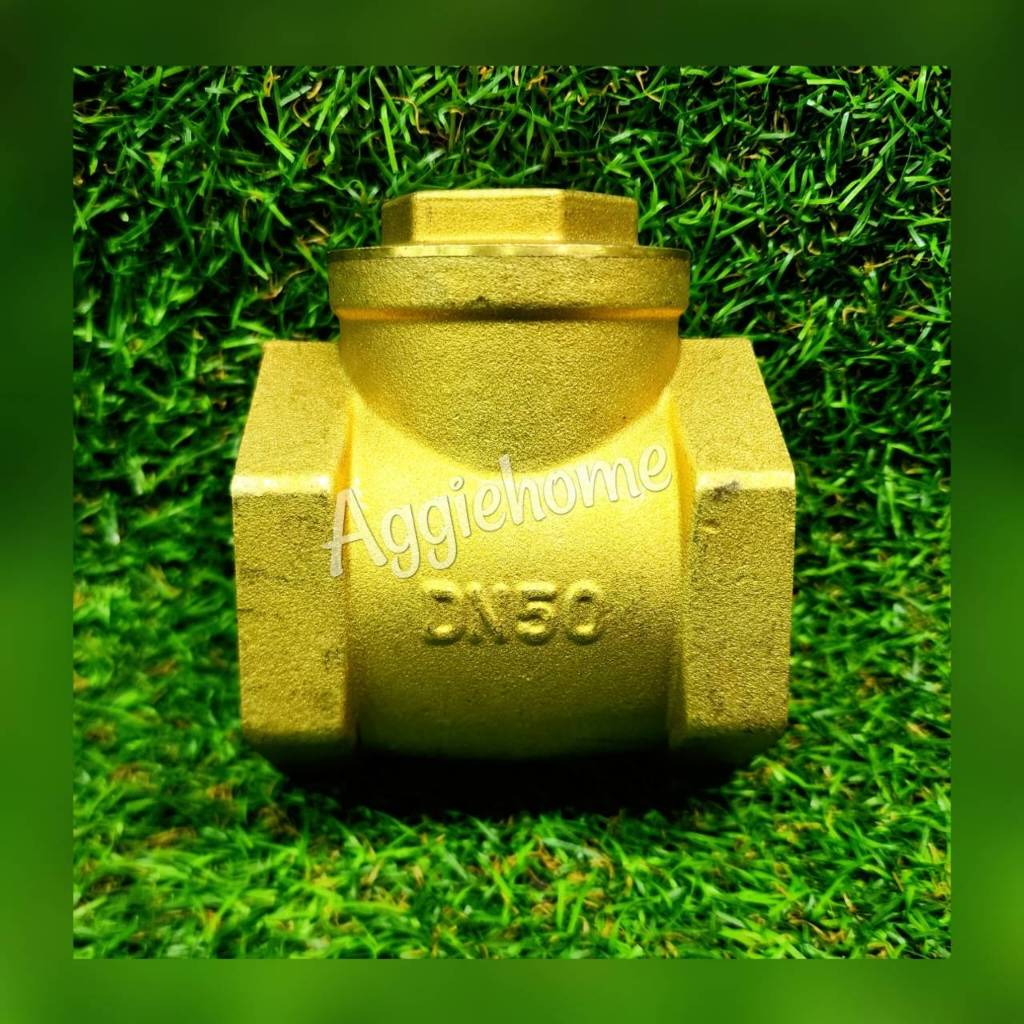 ไชโย เช็ควาล์ว แบบนอน ทองเหลือง เกลียวใน ขนาด 2นิ้ว (2-1110-6) สวิงทองเหลือง check valve กันย้อนกลับ