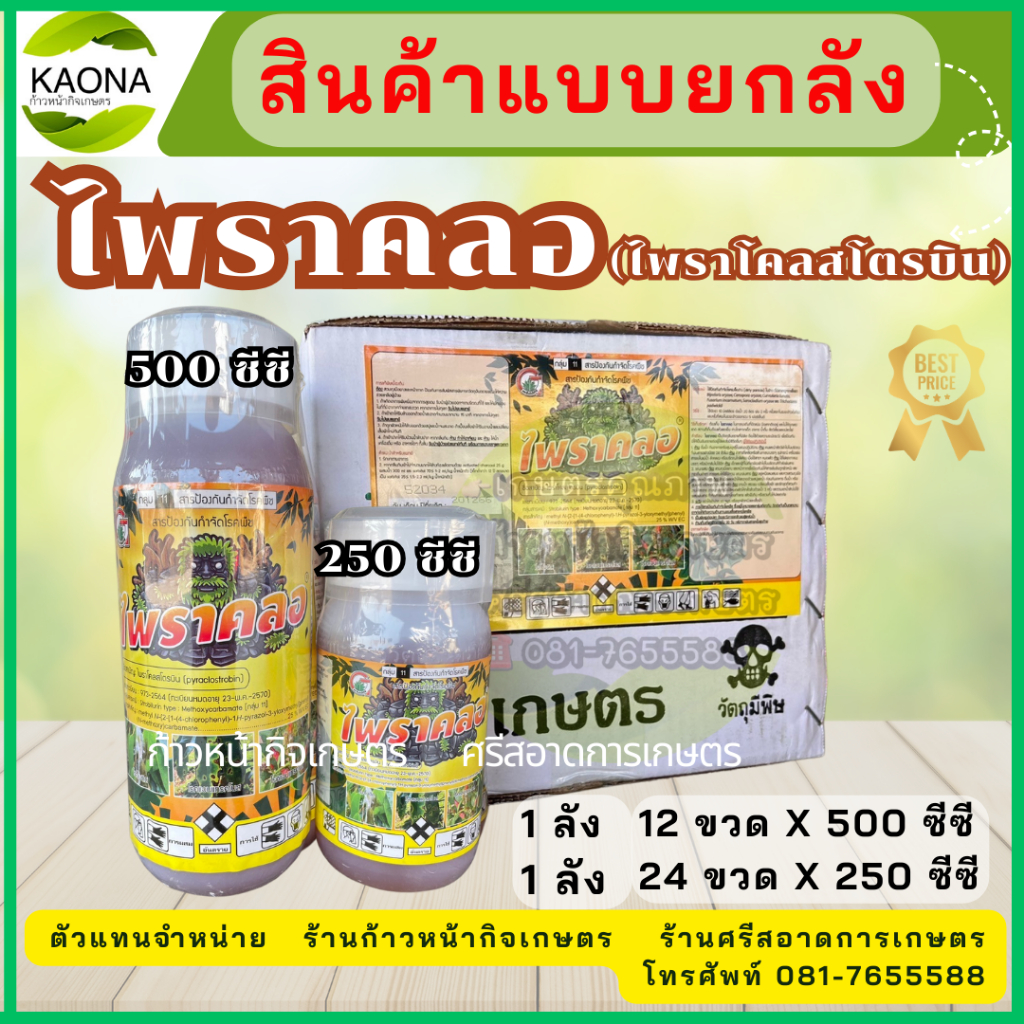 ไพราคลอ(ไพราโคลสโตรบิน)แบบยกลัง ป้องกันโรคพืช โรคราแป้ง โรคแอนแทรคโนส โรคกุ้งแห้งในพริก โรคใบจุดสีม่วงในหอมกระเทียม