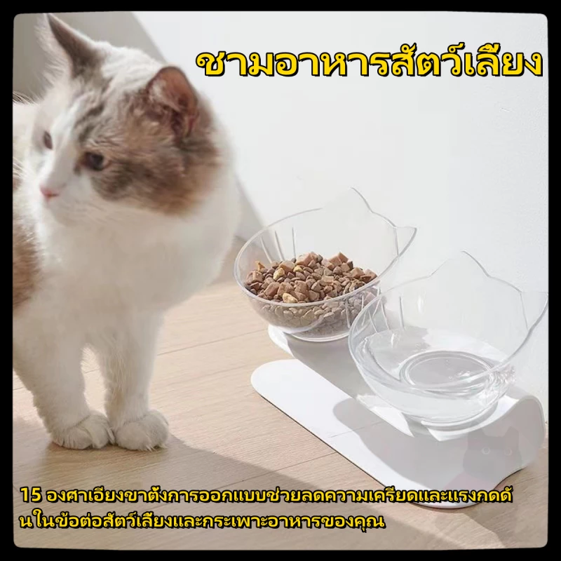 ชามอาหารสัตว์เลี้ยง แมว สุนัข ชุดคู่แบบเอียงรองรับสรีระของสัตว์เลี้ยง
