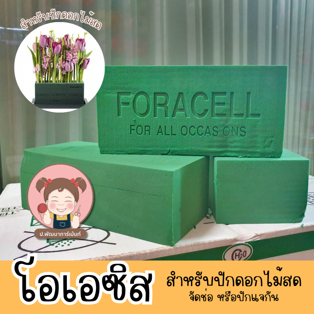 [อุปกรณ์จัดดอกไม้] โอเอซิส สำหรับปักดอกไม้สด