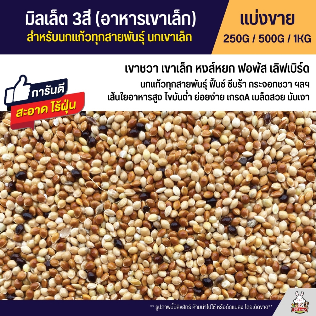 มิลเล็ต 3สี Mix Millet เกรดA อาหารนกเขาเล็ก นกแก้ว และสัตว์ฟันแทะ สะอาด ร่อนฝุ่นทุกถุง (แบ่งขาย 250G / 500G / 1KG)
