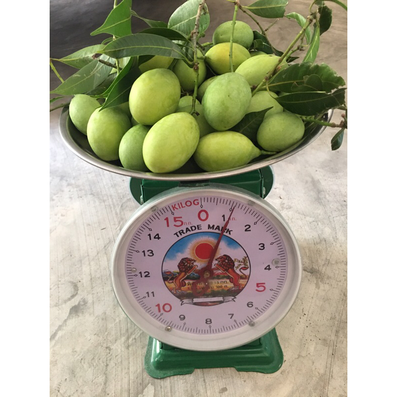 รูปภาพ 6