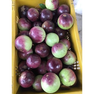 แอปเปิ้ลสตาร์ หรือ หมากน้ำนม หรือ แอปเปิ้ลน้ำ แอปเปิ้ลเมือง …