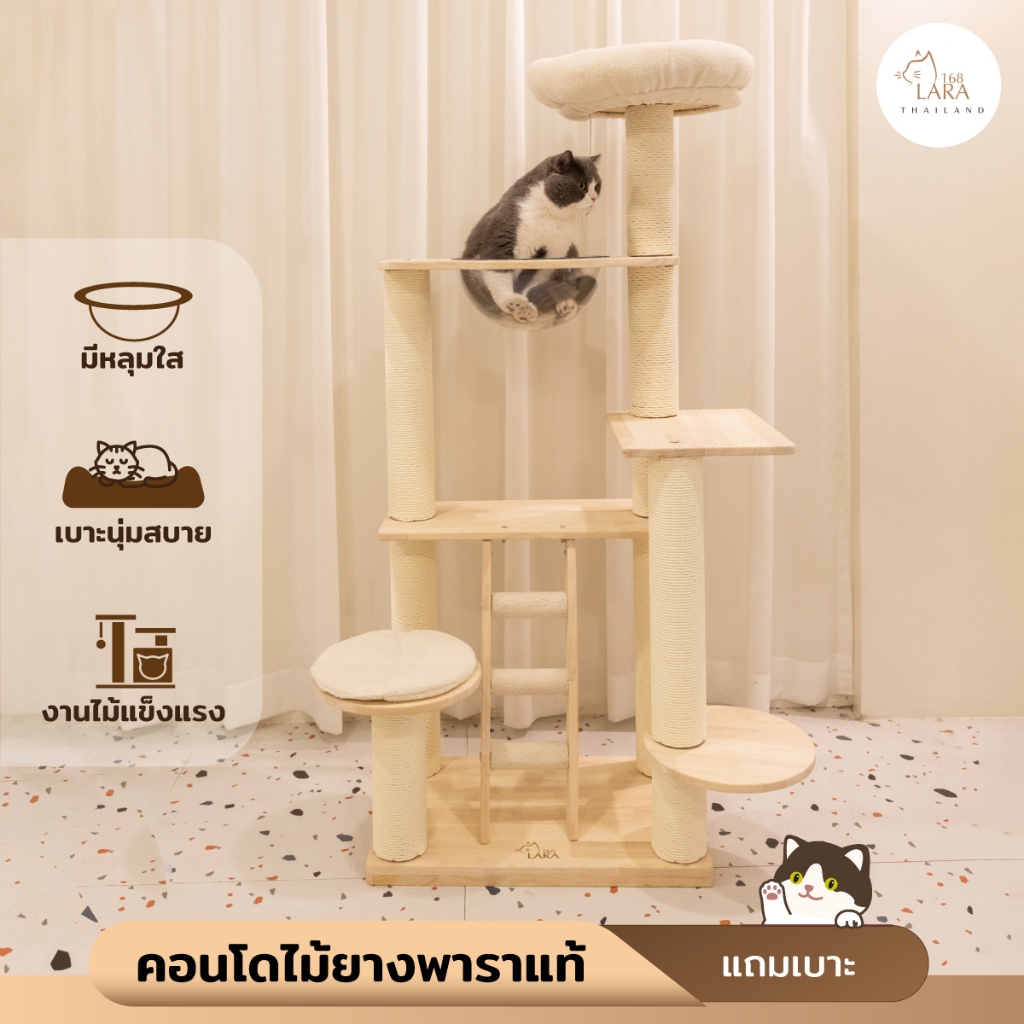 A46🌈 รุ่นใหม่แถมเบาะ‼️ คอนโดไม้ยางพาราเกรดA   ที่นอนแมว ที่ฝนเล็บแมว คอนโดปีนป่าย เฟอร์นิเจอร์แมว