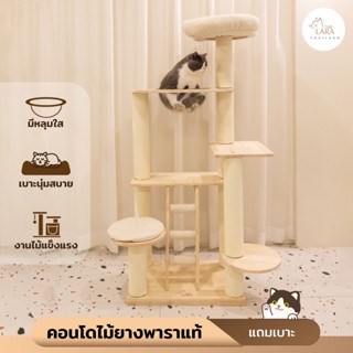 A46🌈 รุ่นใหม่แถมเบาะ‼️ คอนโดไม้ยางพาราเกรดA   ที่นอนแมว ที่ฝ…