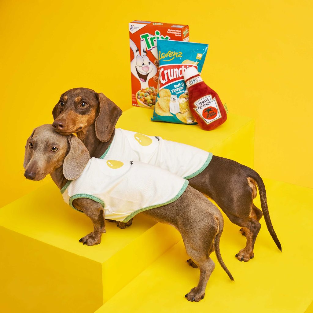 Midnight Layer – All Day Brunch Collection - เสื้อผ้าสัตว์เลี้ยง (Sunny Egg)