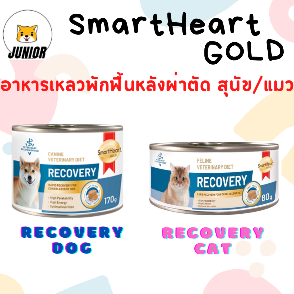 โปรดอ่านก่อนสั่ง Smart heart gold Recovery อาหารเปียกสุนัข 170ก แมว80ก สำหรับสัตว์ป่วย พักพื้น ผ่าตัด