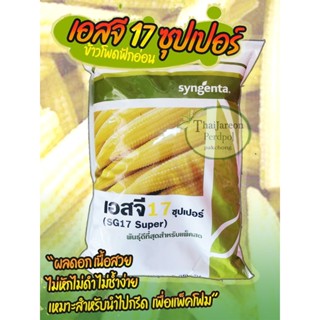 ข้าวโพดฝักอ่อน SG17 ซุปเปอร์ 5 กิโล ข้าวโพดแอ้ ลูกผสม Syngen…